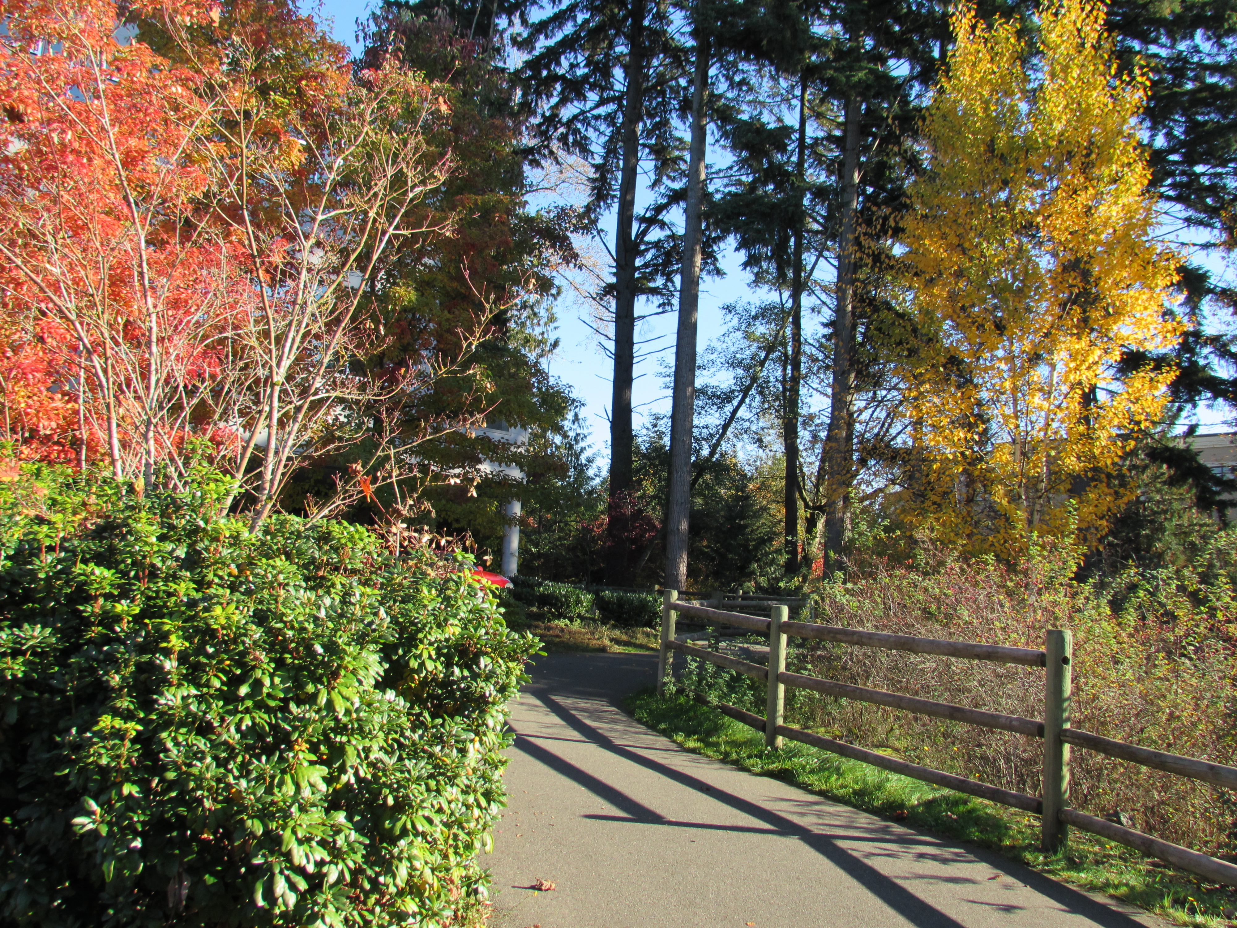 North Creek Trail