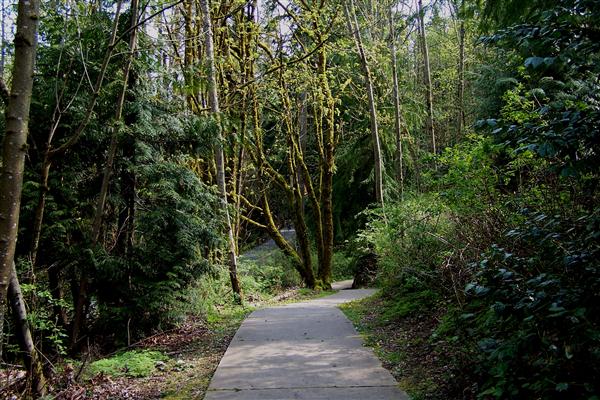 Nickel Creek Trail
