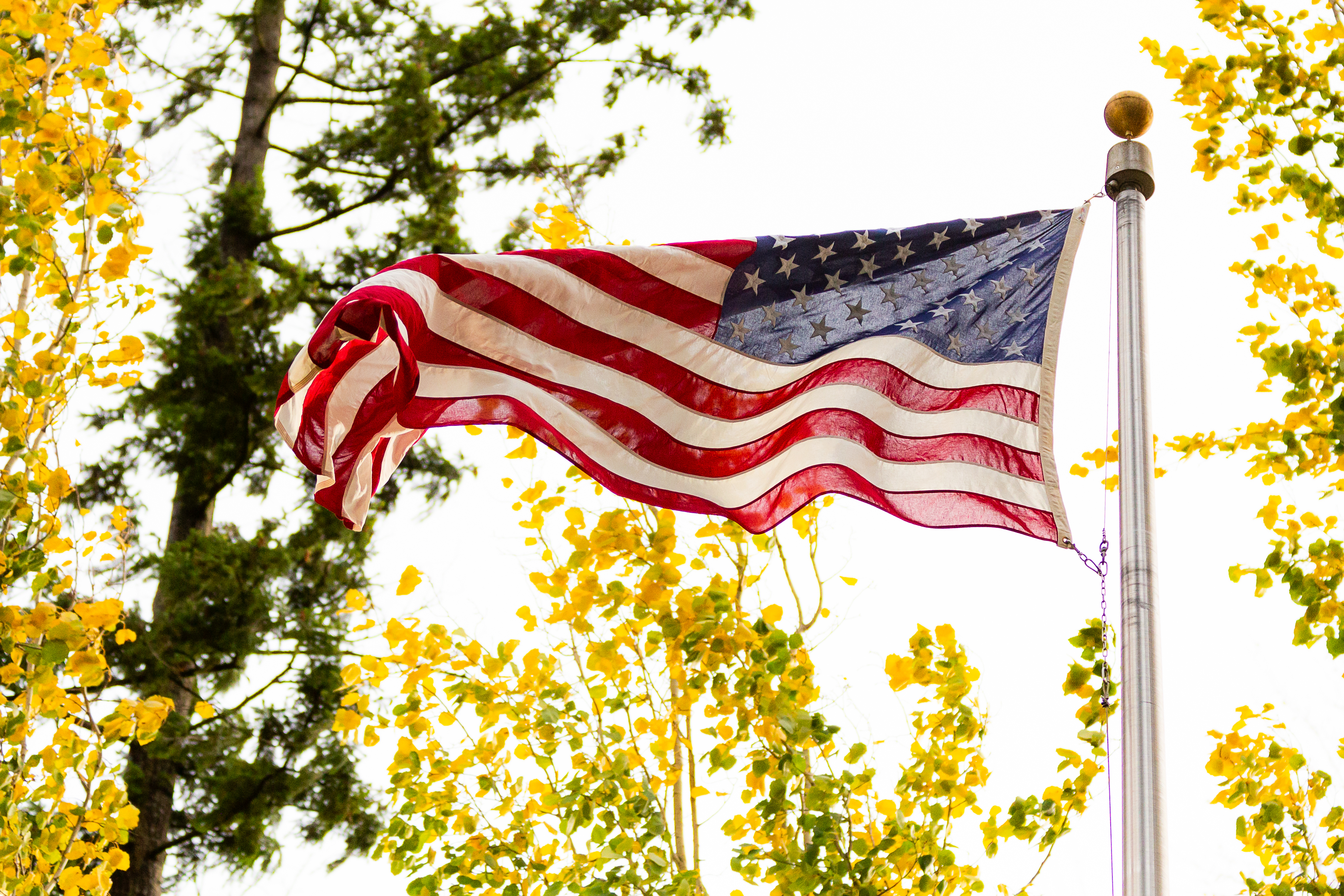 An American flag waving in the wind during the 2024 Veterans Day Ceremony at Library Park