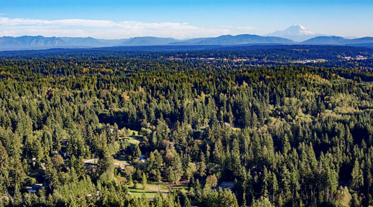 An aerial view of Mill Creek