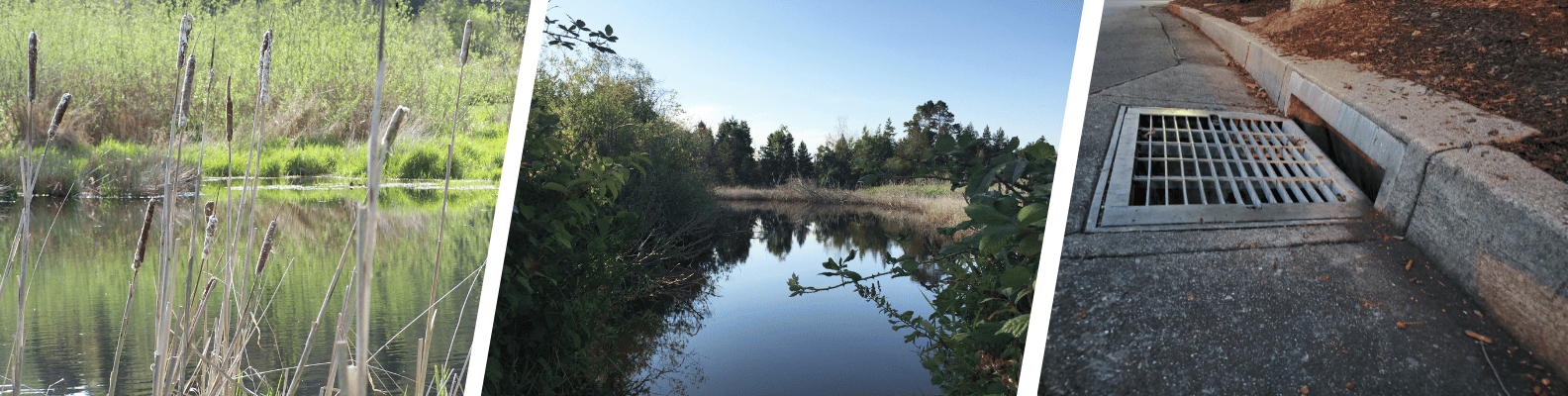 Detention Ponds and storm drains