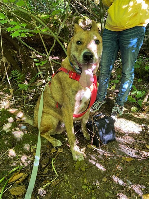 A friendly Geocacher