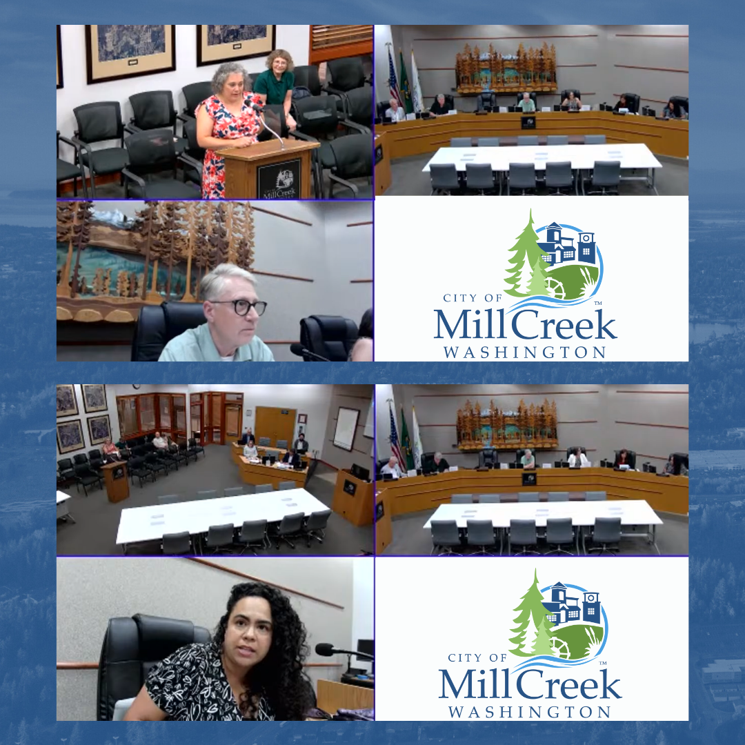 City Council Recap from 08/12/25 - screencaps from the City Council Zoom meeting.
